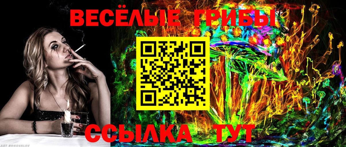 Псилоцибиновые грибы MAGIC MUSHROOMS Качканар