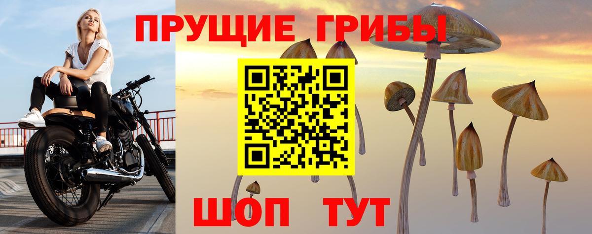 Галлюциногенные грибы мухоморы  Вход с VPN  Качканар 